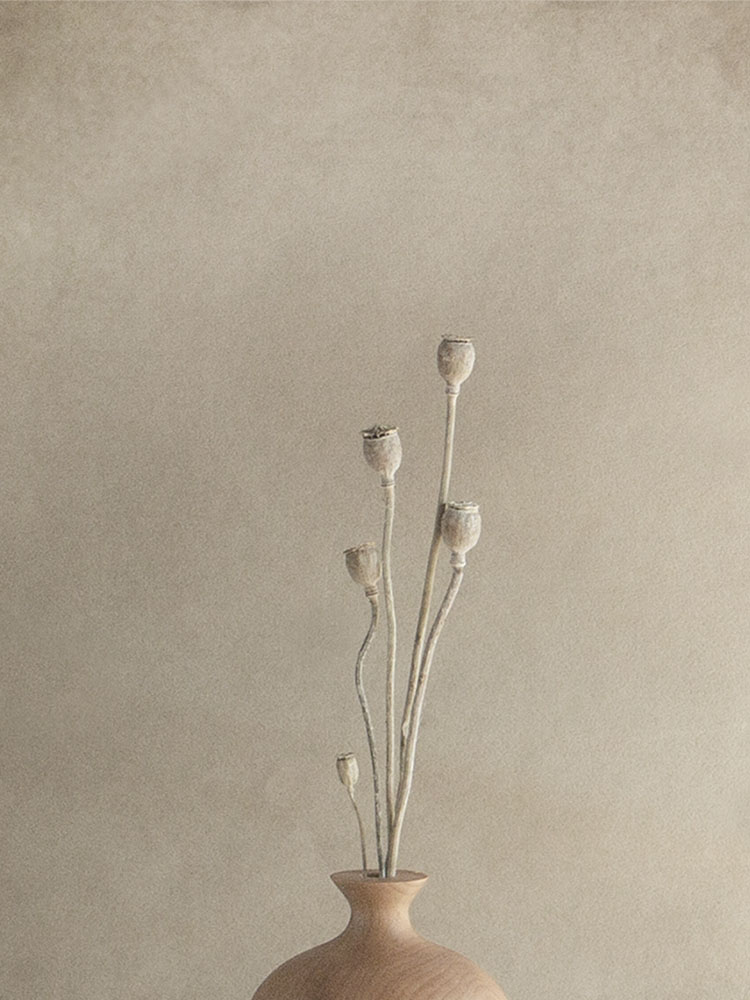 Opium-poppy dryflower / DF003